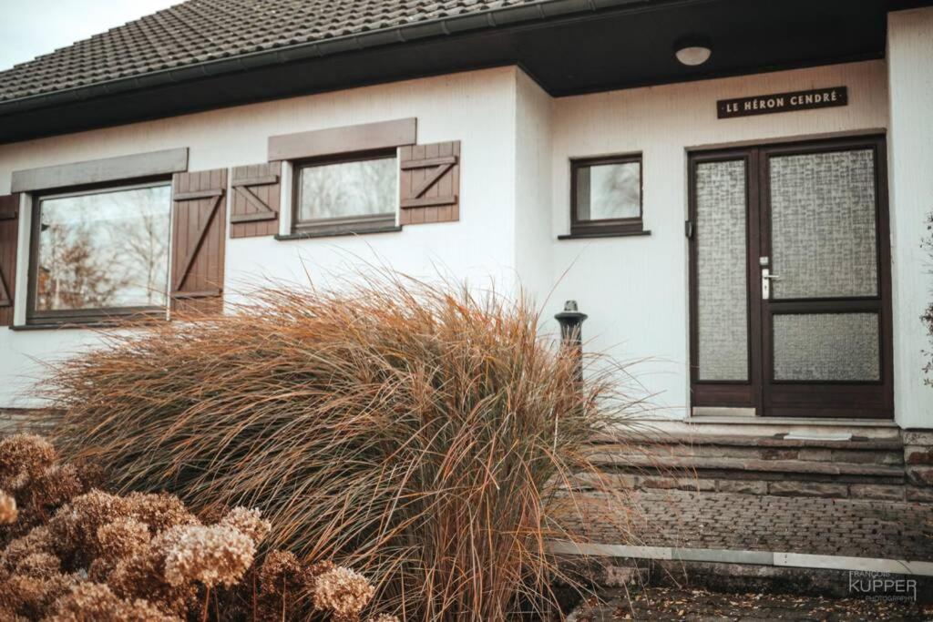 Le Heron 28Pers, Malmedy- Home Cinema, Balneo, Sauna, Jardin Exterior photo